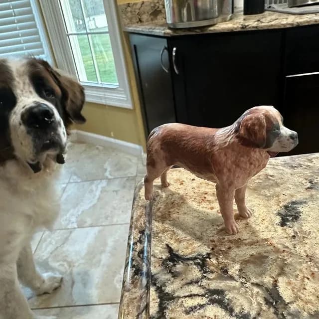 A 3D printed replica of a dog standing beside the real dog it was modelled from